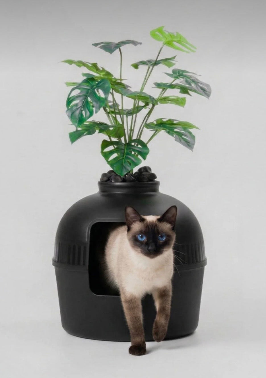 DEKORATİF KEDİ TUVALETİ 🐾