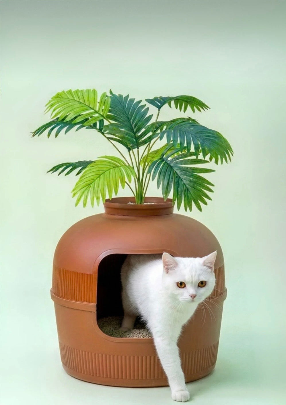 DEKORATİF KEDİ TUVALETİ 🐾