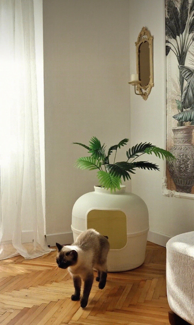 DEKORATİF KEDİ TUVALETİ 🐾