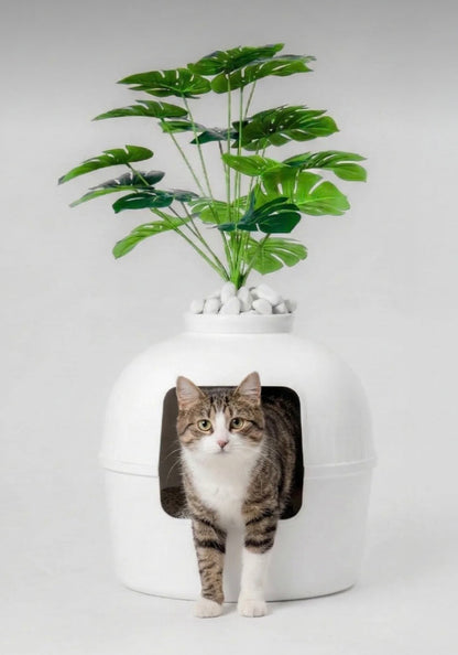 DEKORATİF KEDİ TUVALETİ 🐾